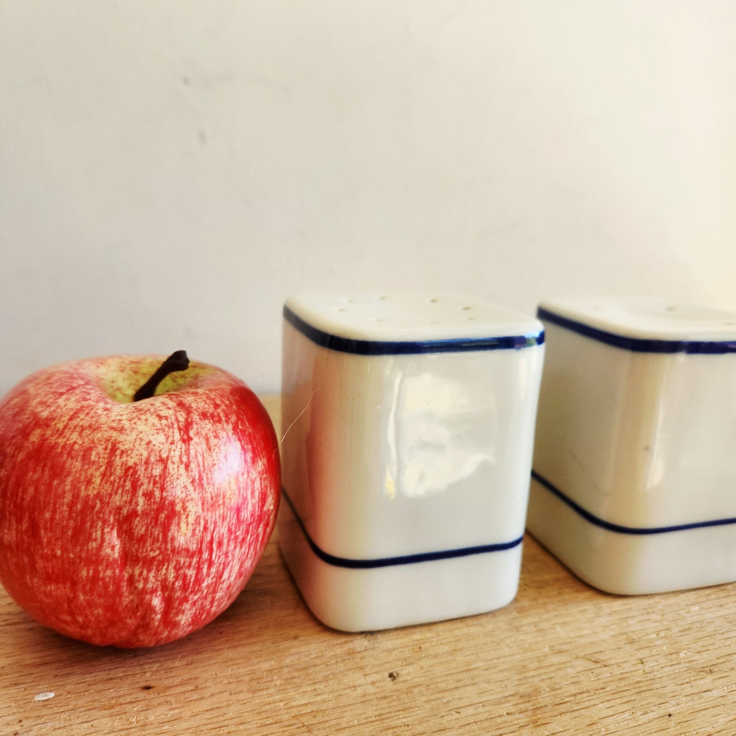 Vintage Portuguese Ceramic Salt and Pepper Shakers White and Blue
