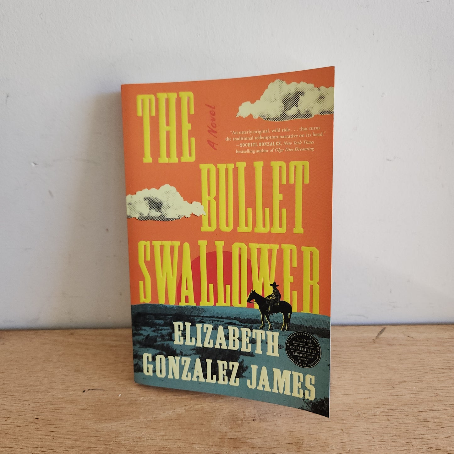 The Bullet Swallower by Elizabeth Gonzalez James