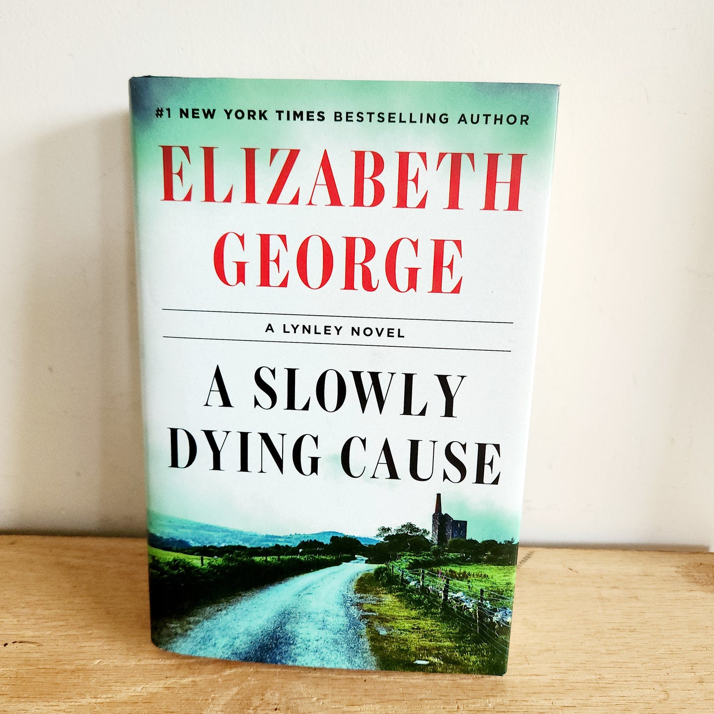 A Slowly Dying Cause by Elizabeth George