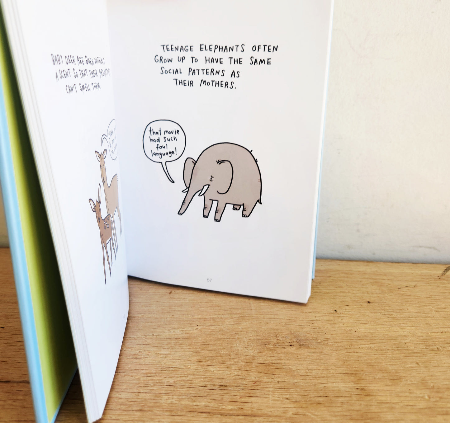 Sad Animal Babies by Brooke Barker