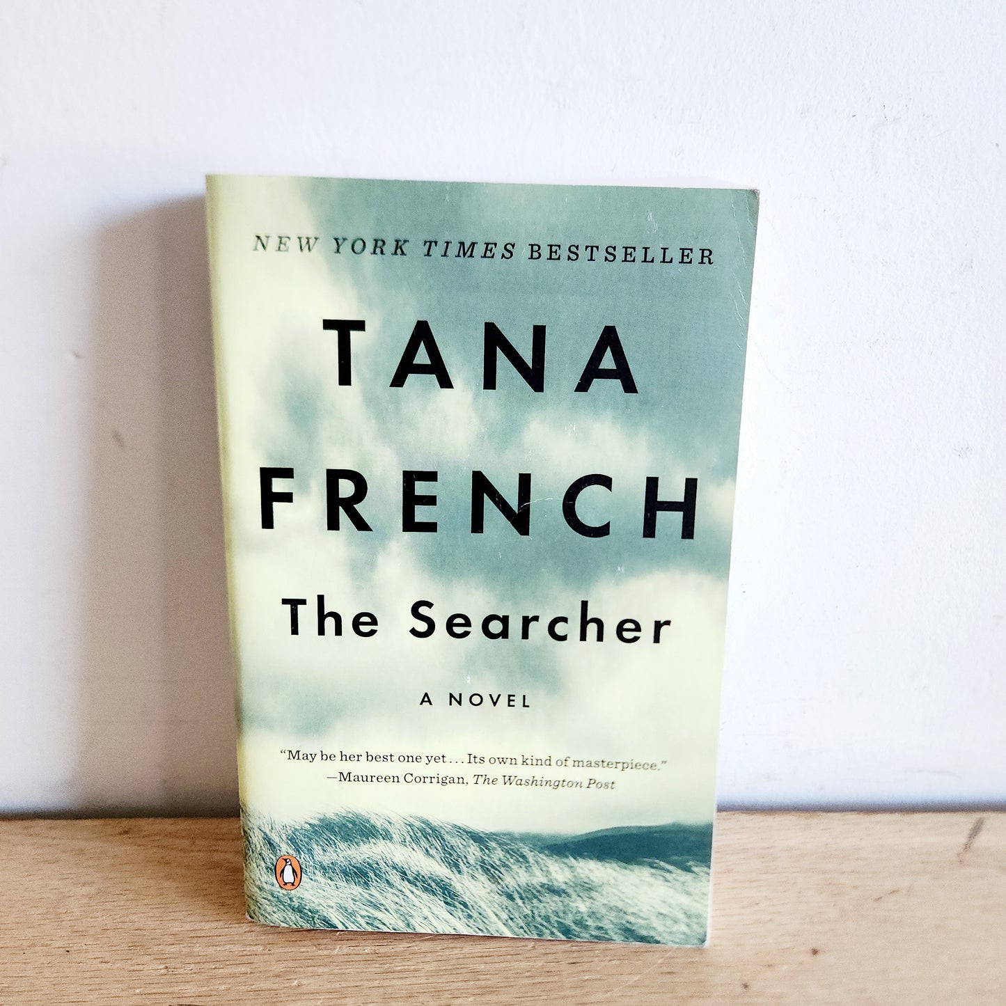 The Searcher by Tana French