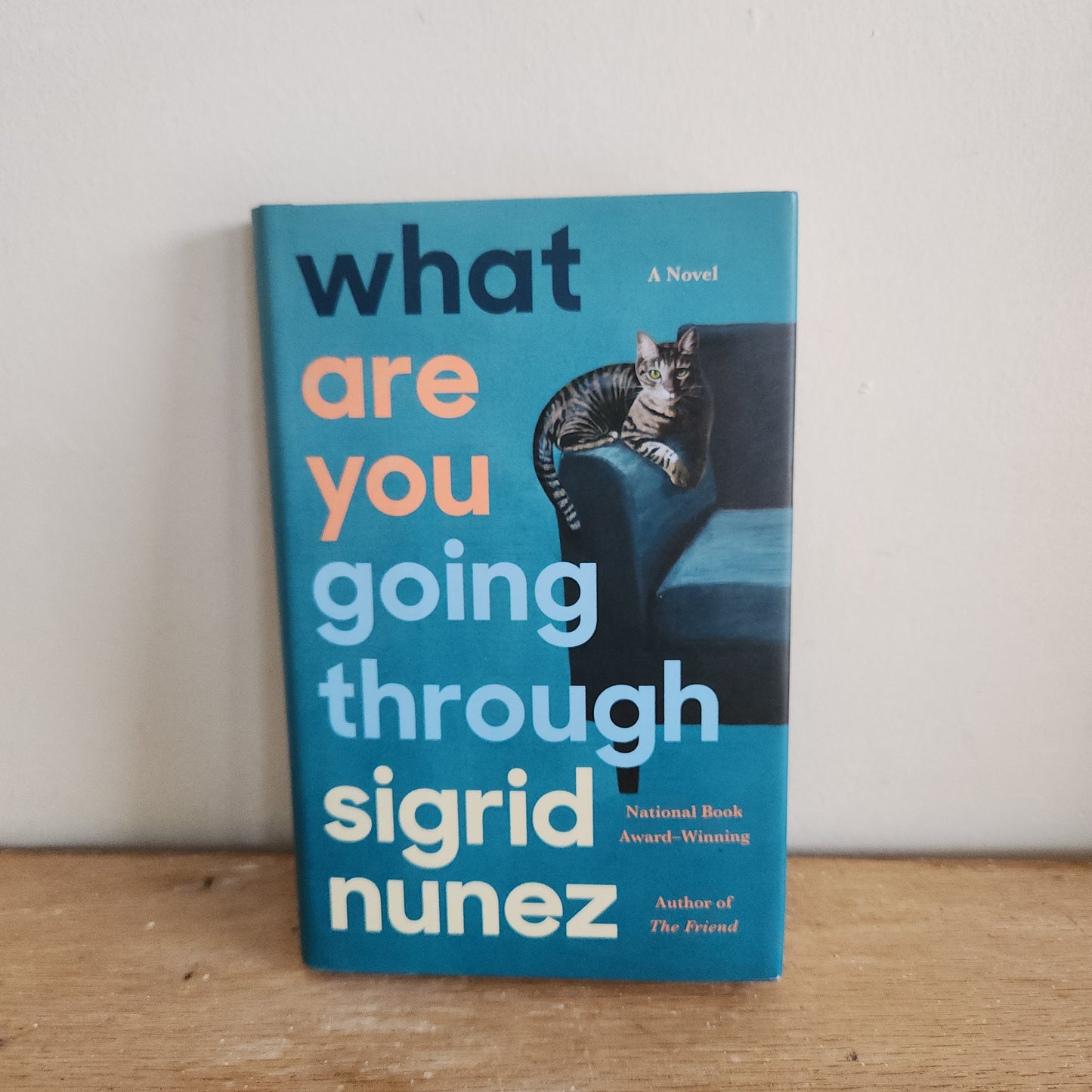 what are you going through by sigrid nunez