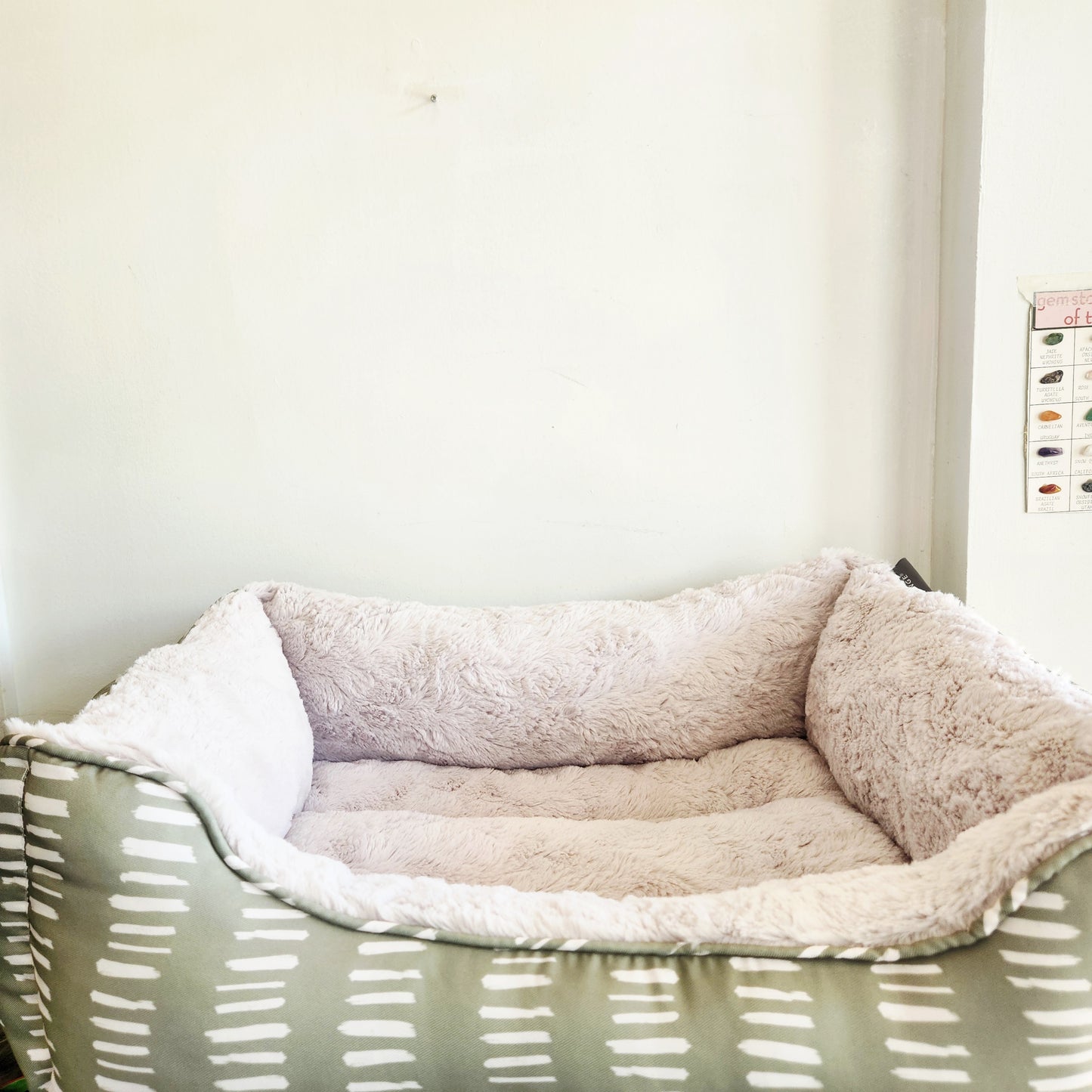 Fringe Studio Medium Size Dog Bed