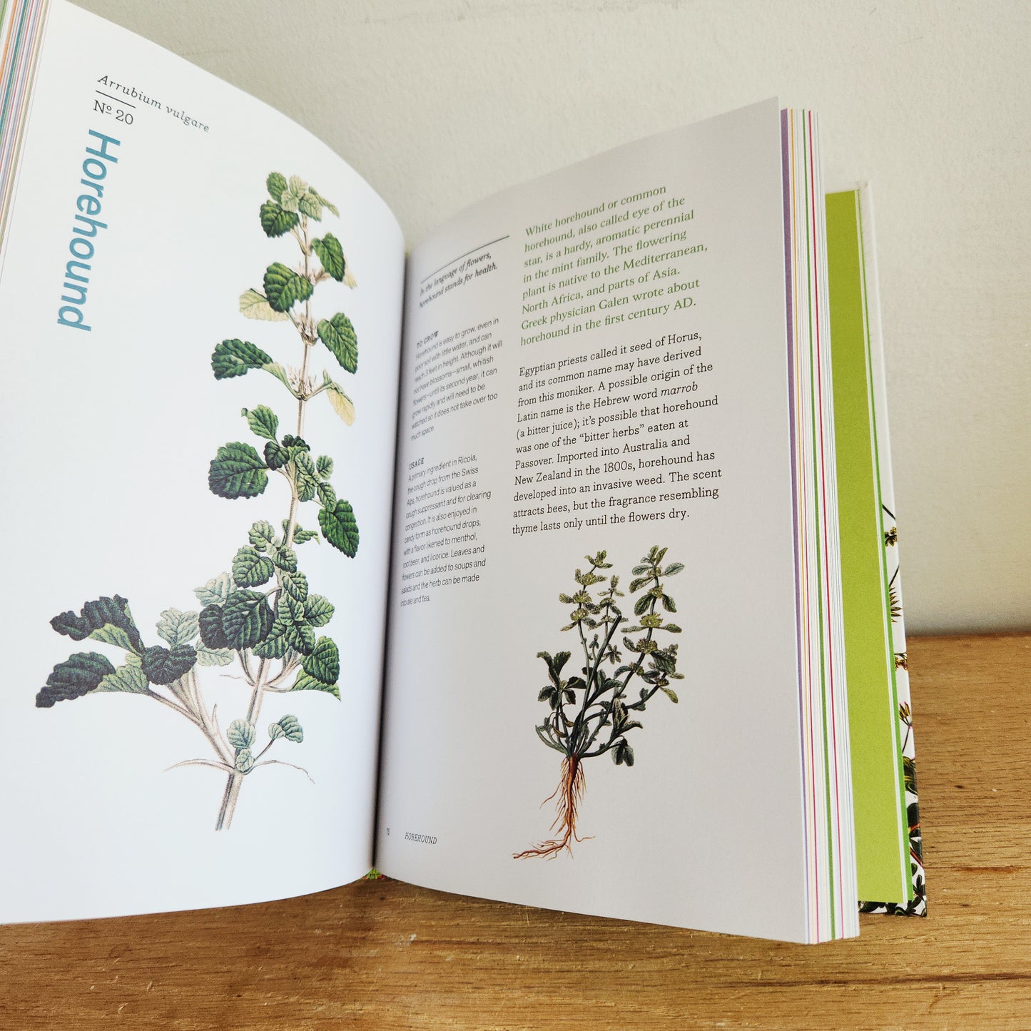 Herbal Handbook