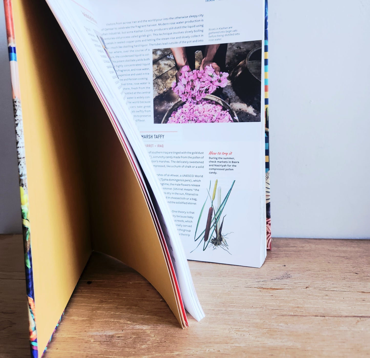 Gastro Obscura A Food Adventurer's Guide HB