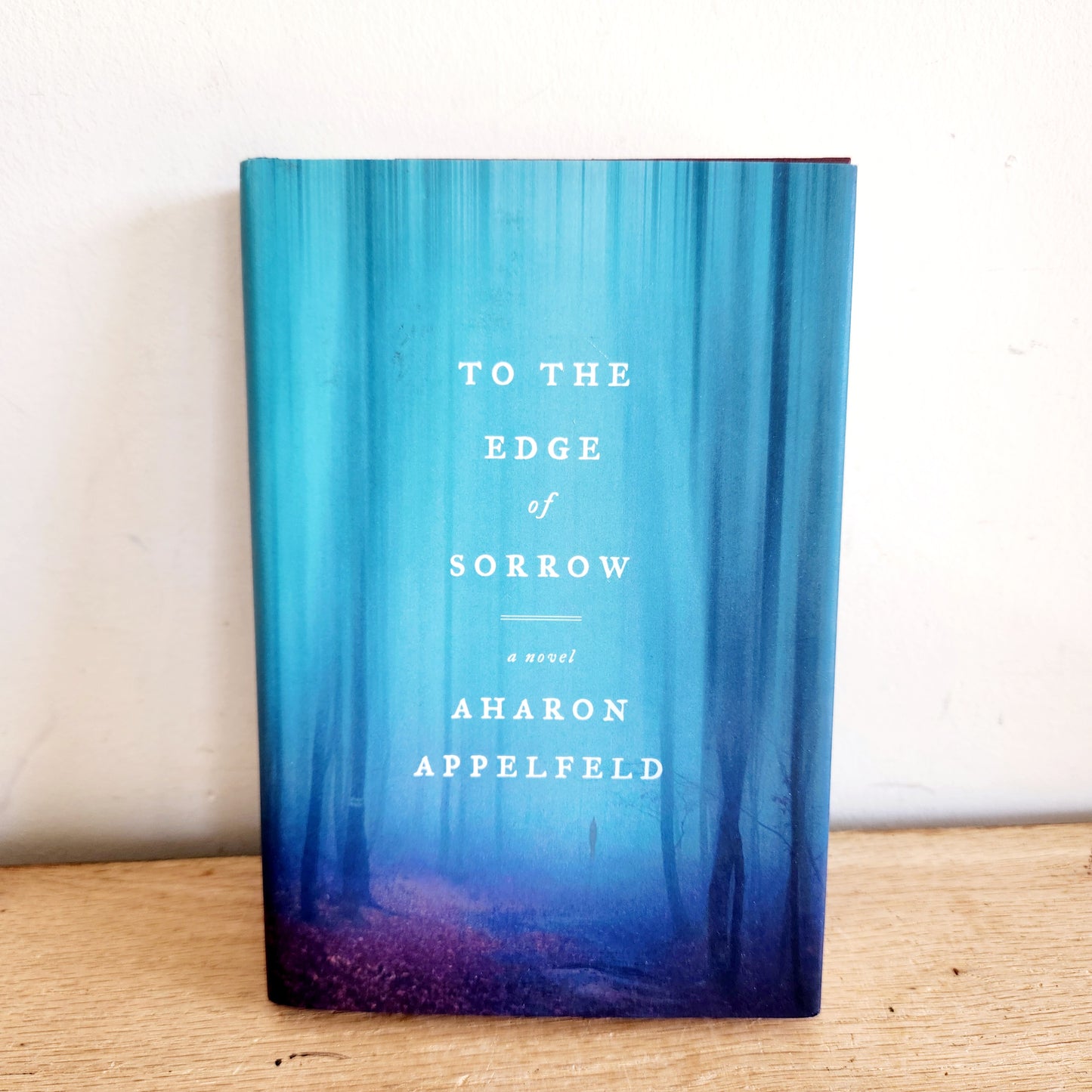 To the Edge of Sorrow by Aharon Appelfeld
