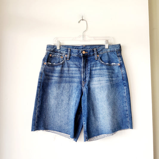 GAP Cut Off Denim Shorts - size 10
