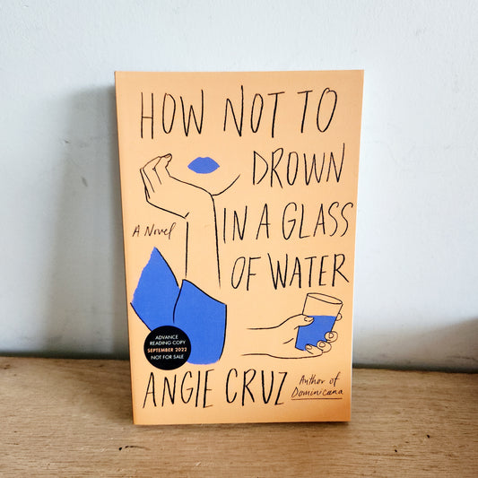 How Not To Drown In A Glass of Water by Angie Cruz