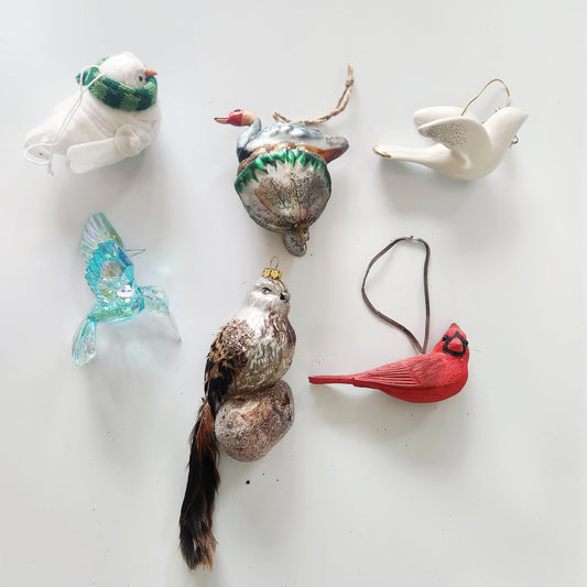 Bird Variety Ornaments Set of 5