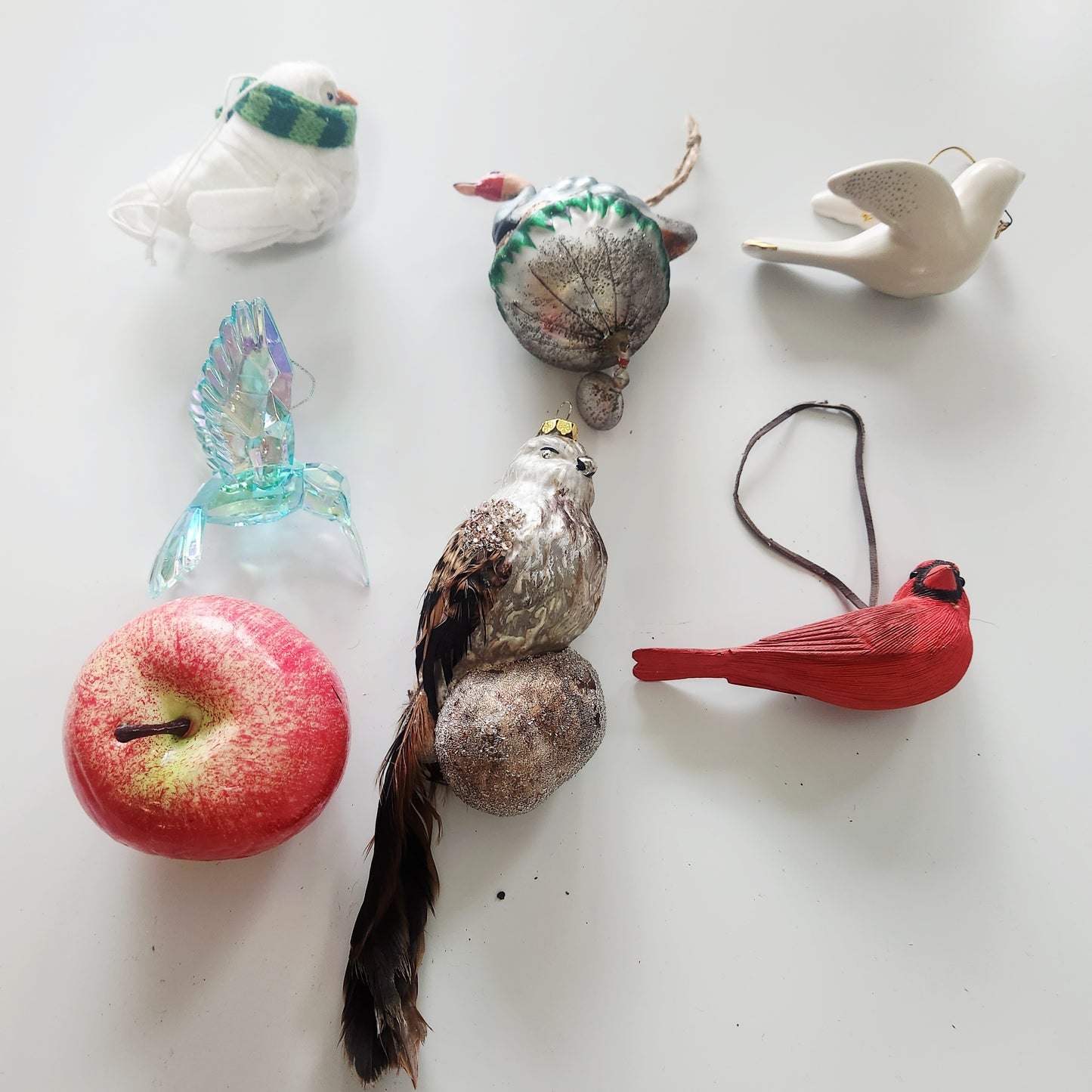 Bird Variety Ornaments Set of 5