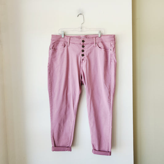 a.n.a High-Rise Skinny Jeans with Button Fly - size 18W