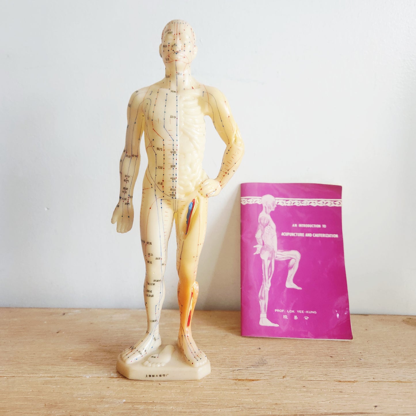Vintage Acupuncture Manikin Chinese Acupuncture