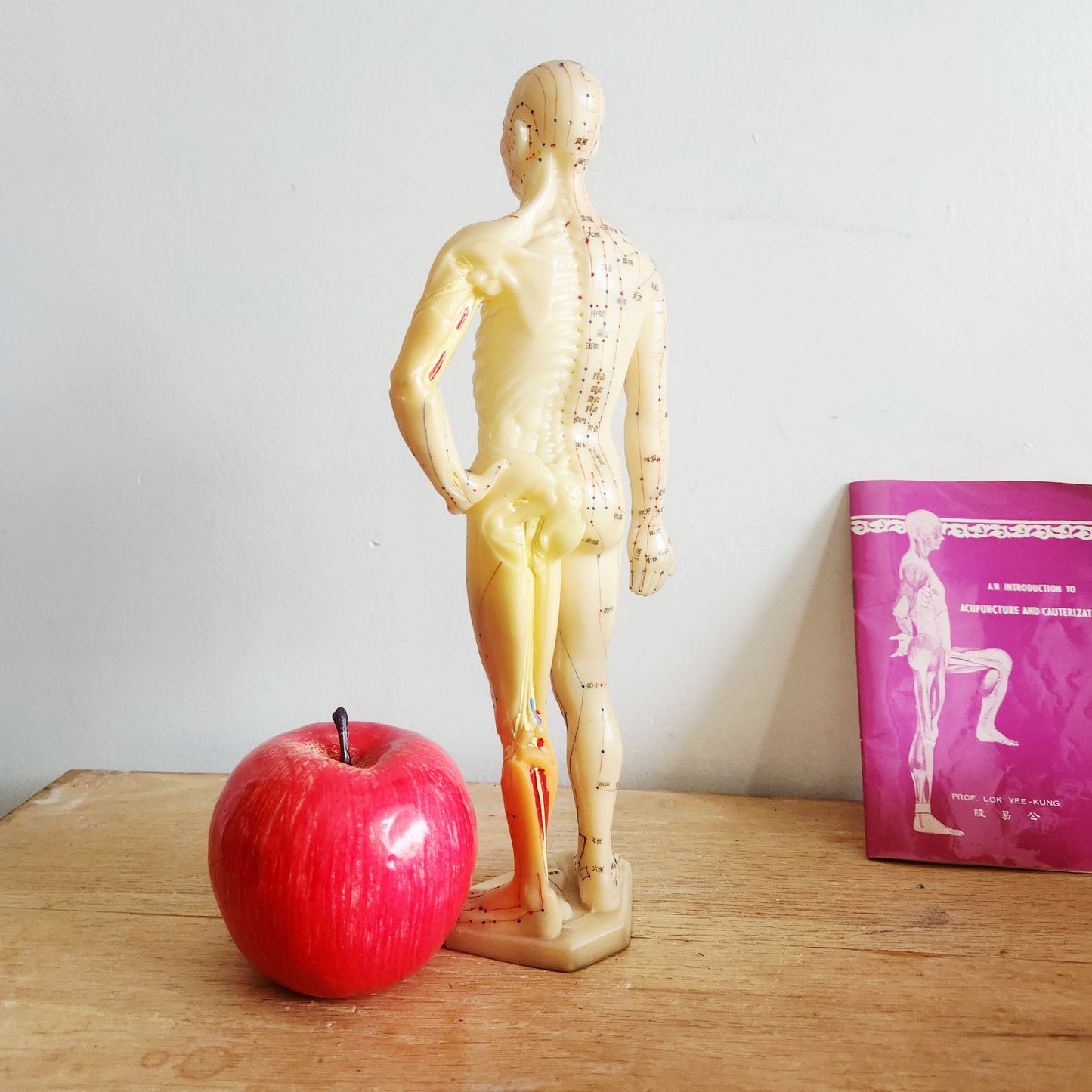 Vintage Acupuncture Manikin Chinese Acupuncture