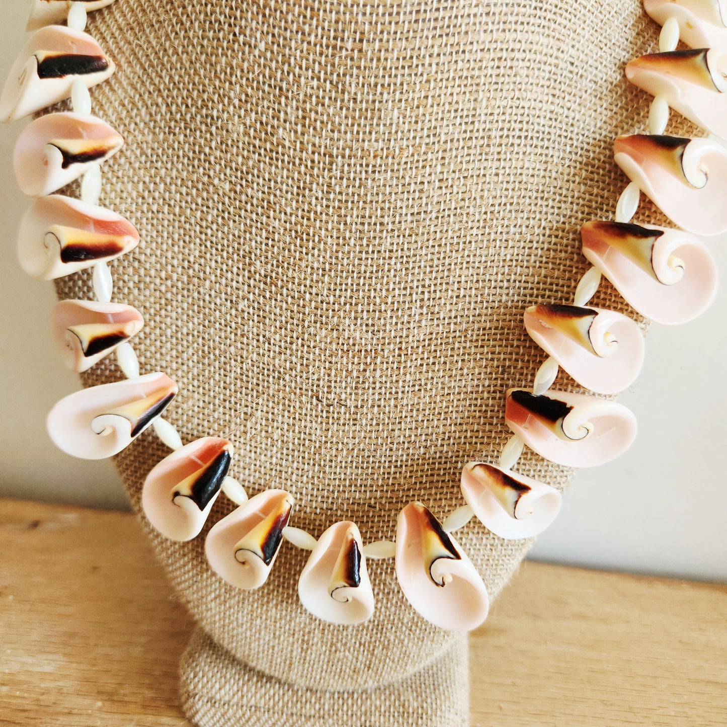Shell Necklace & Earrings Set