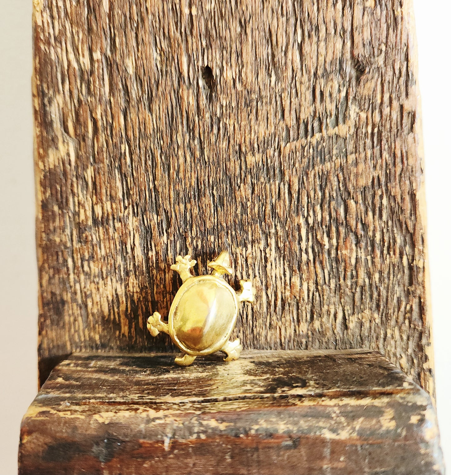 Museum of Modern Art Turtle Pin