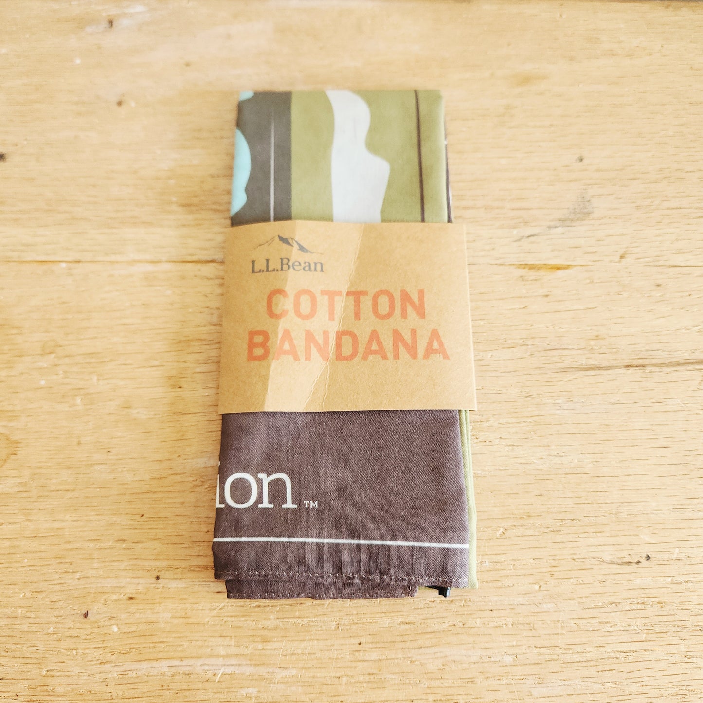 LL Bean Cotton Bandana - Arches National Park - New