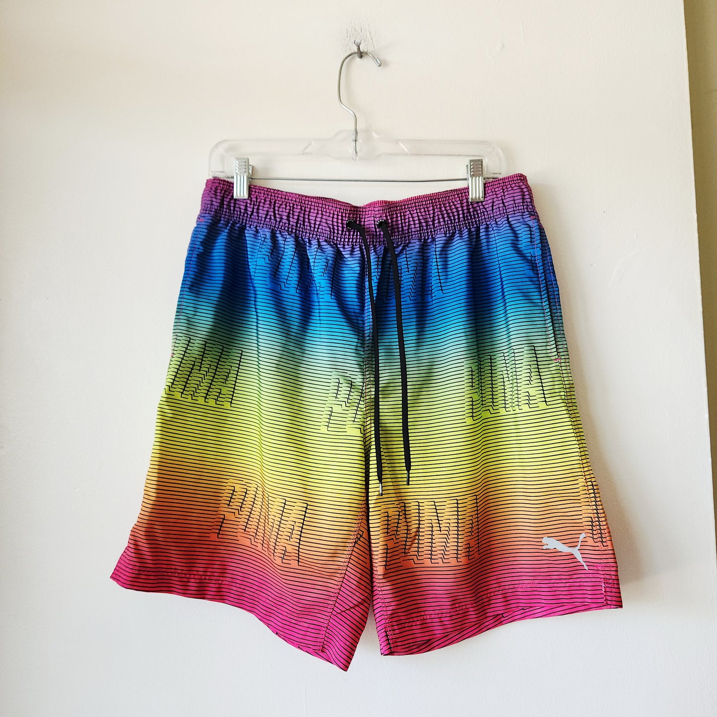 Puma Rainbow Ombre Swim Shorts - L