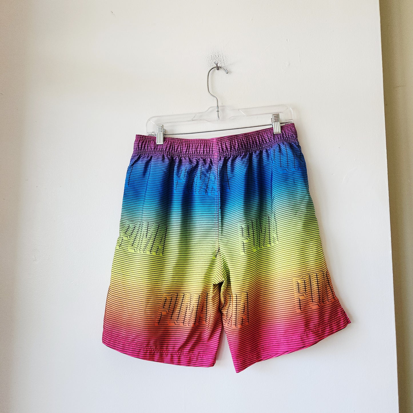 Puma Rainbow Ombre Swim Shorts - L
