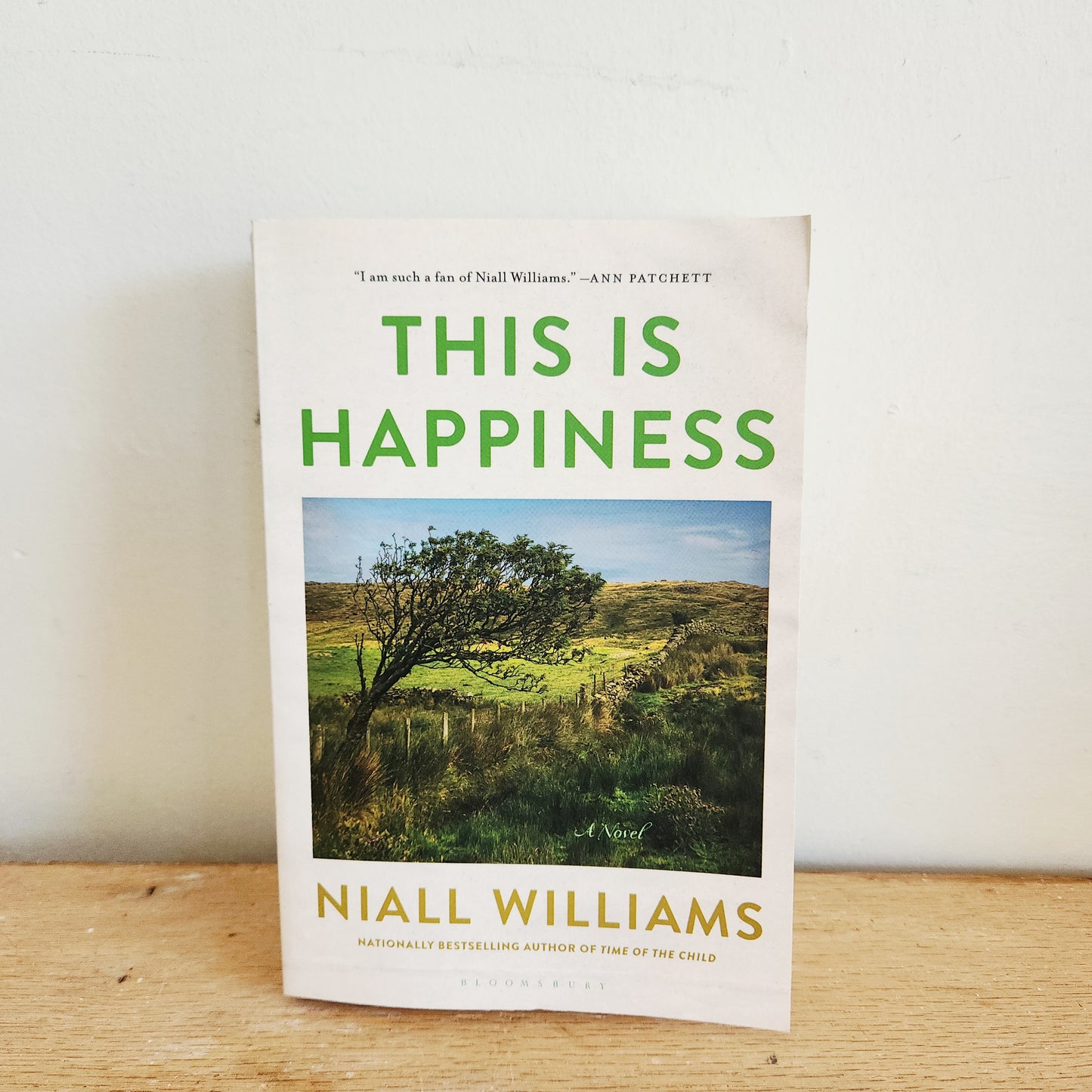 This is Happiness by Niall Williams