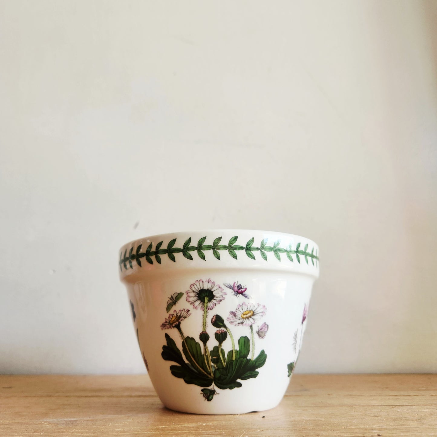 Portmeiron Botanic Garden Planter  6"