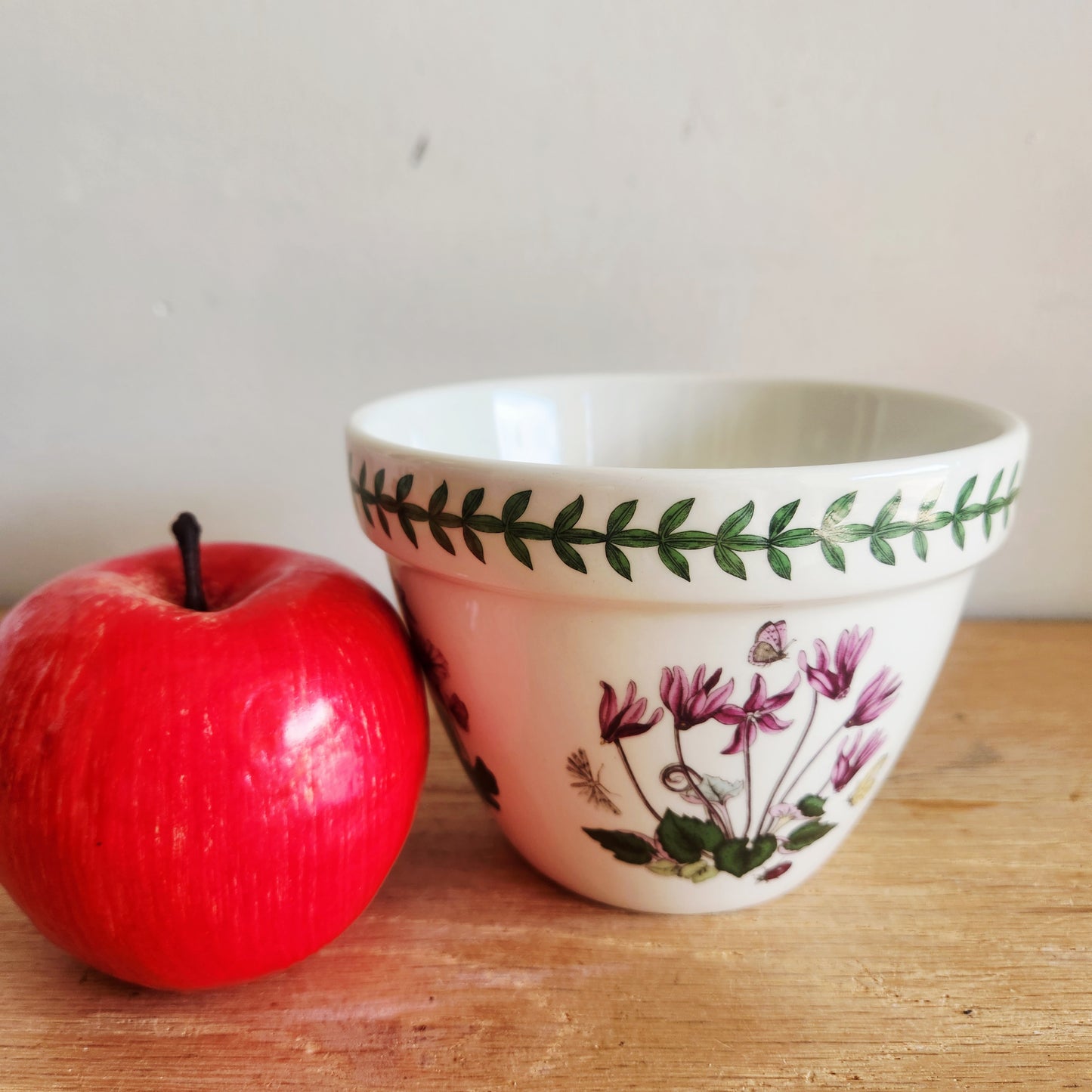 Portmeiron Botanic Garden Planter  6"