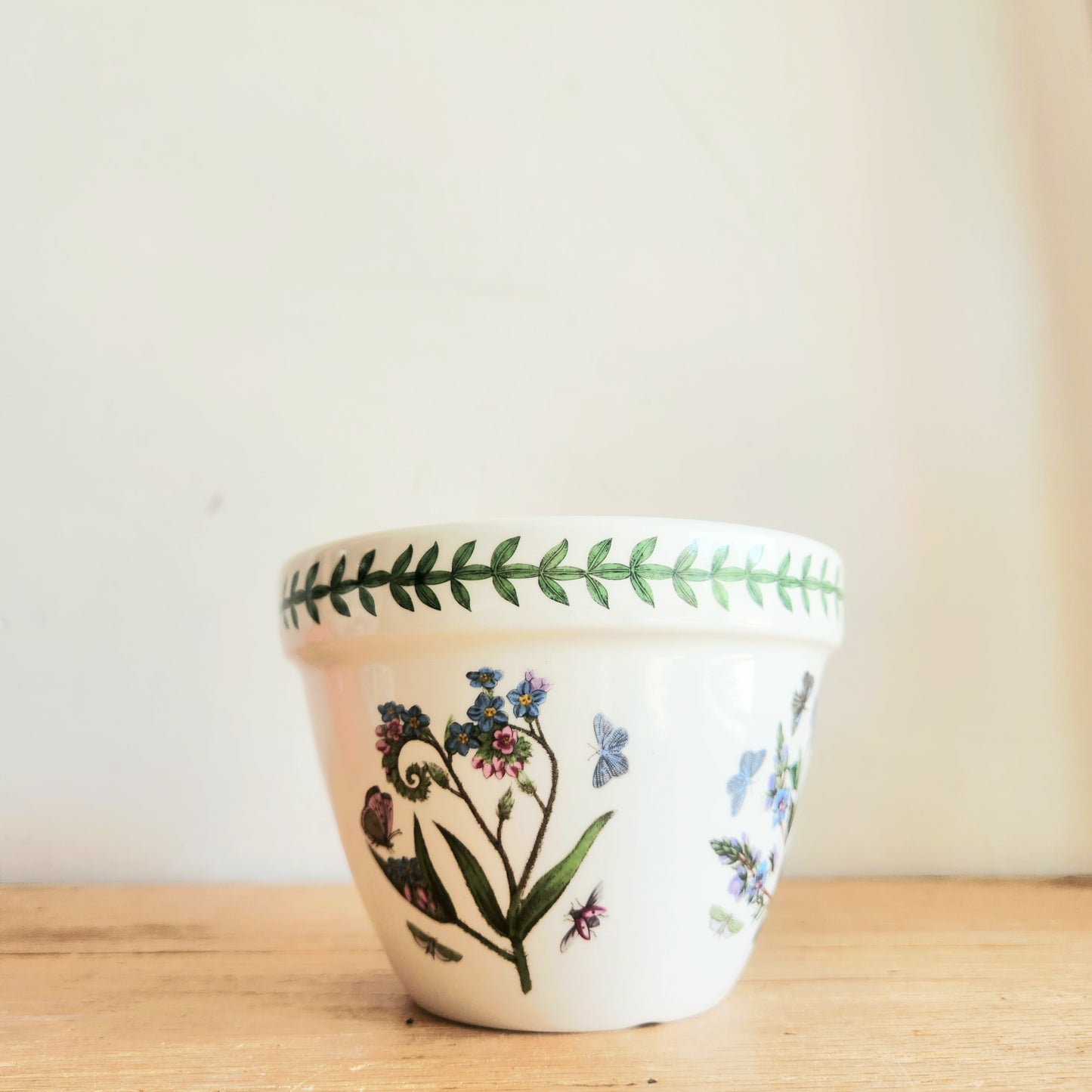Portmeiron Botanic Garden Planter  6"