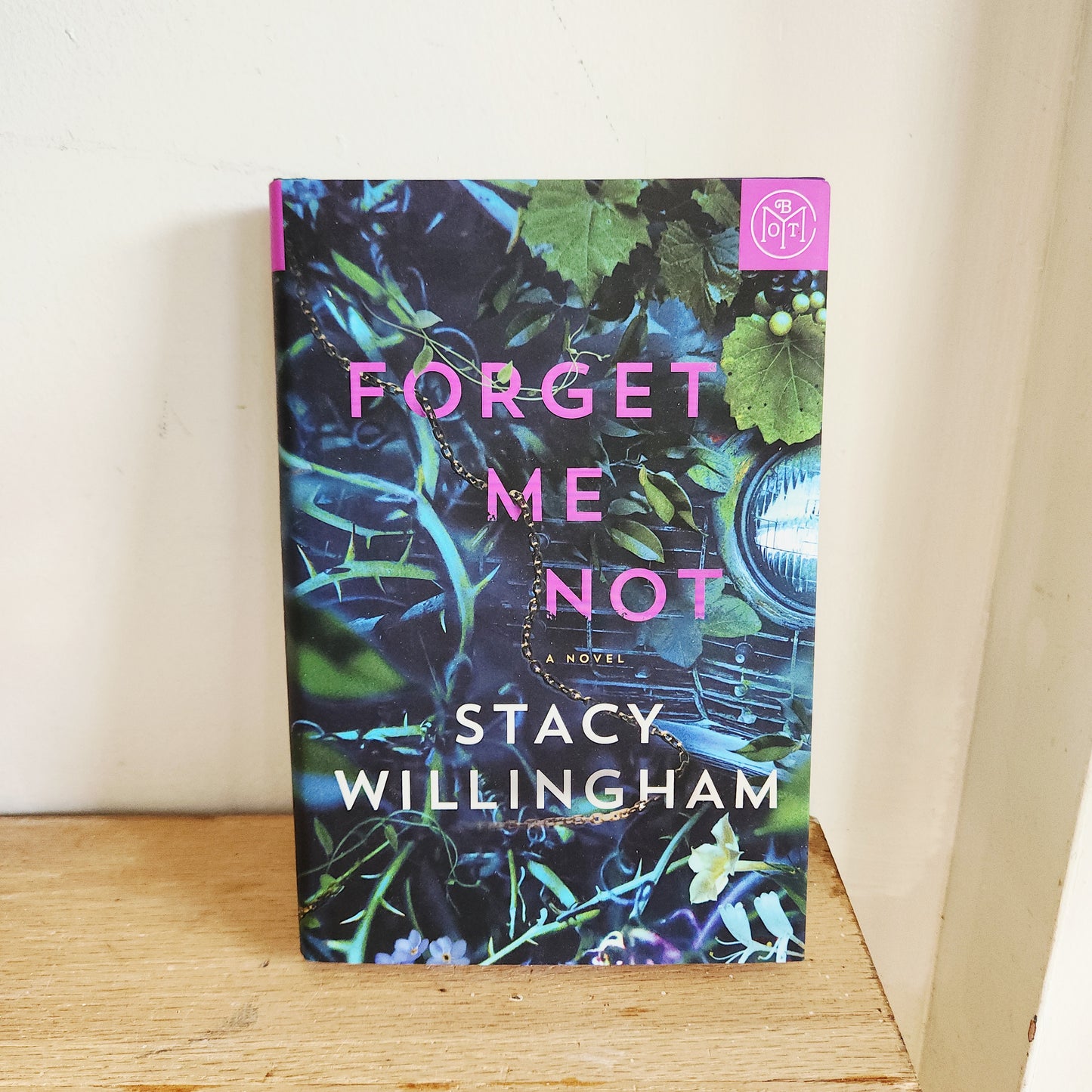 Forget Me Not by Stacy Willingham