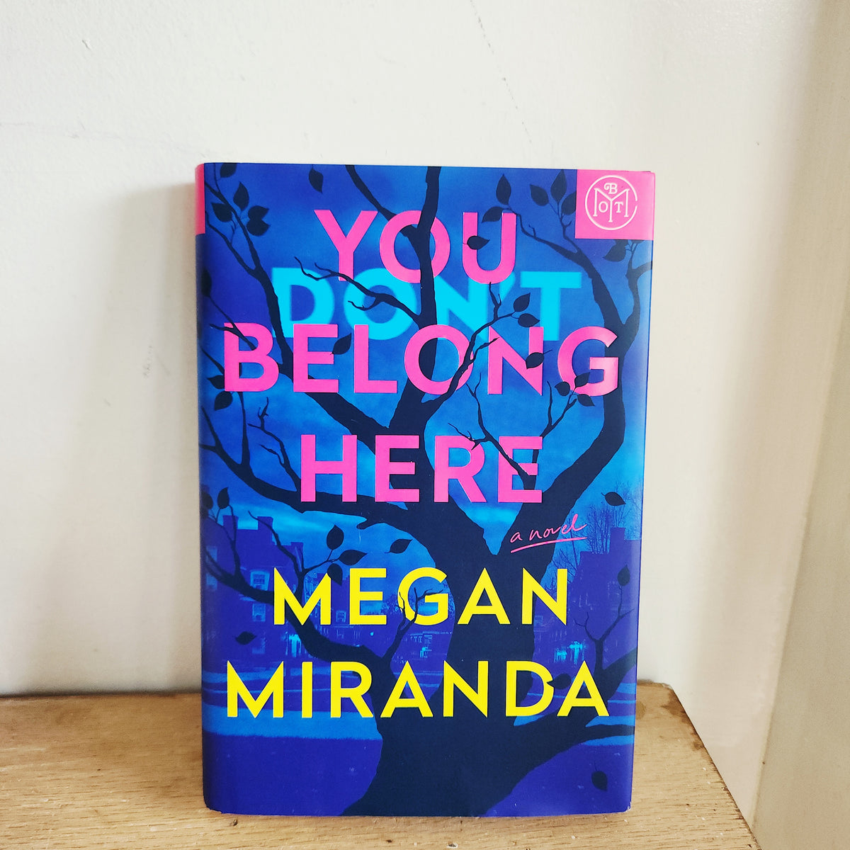 You Don't Belong Here by Megan Miranda