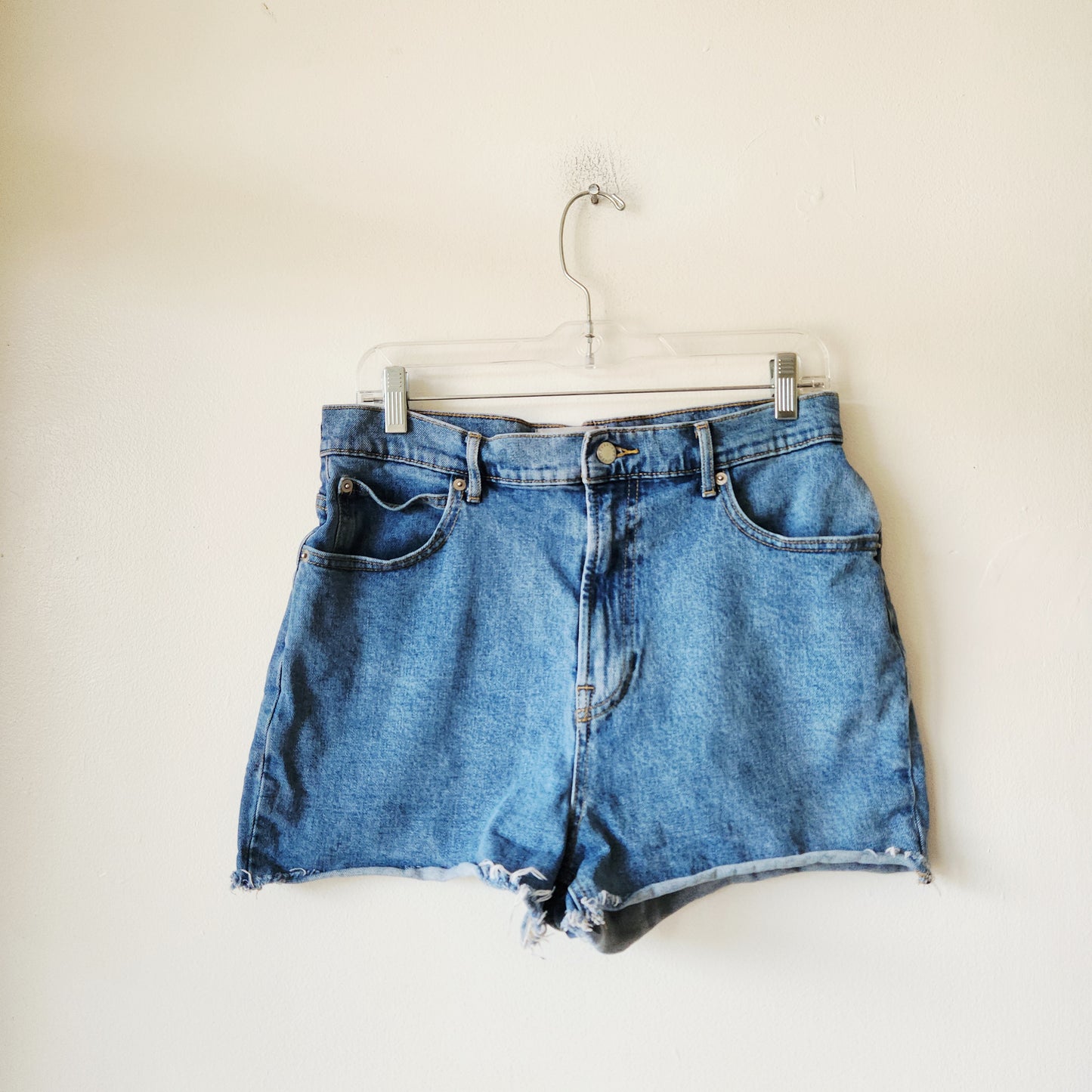 Everlane Way-High Denim Cut Off Shorts - size 30