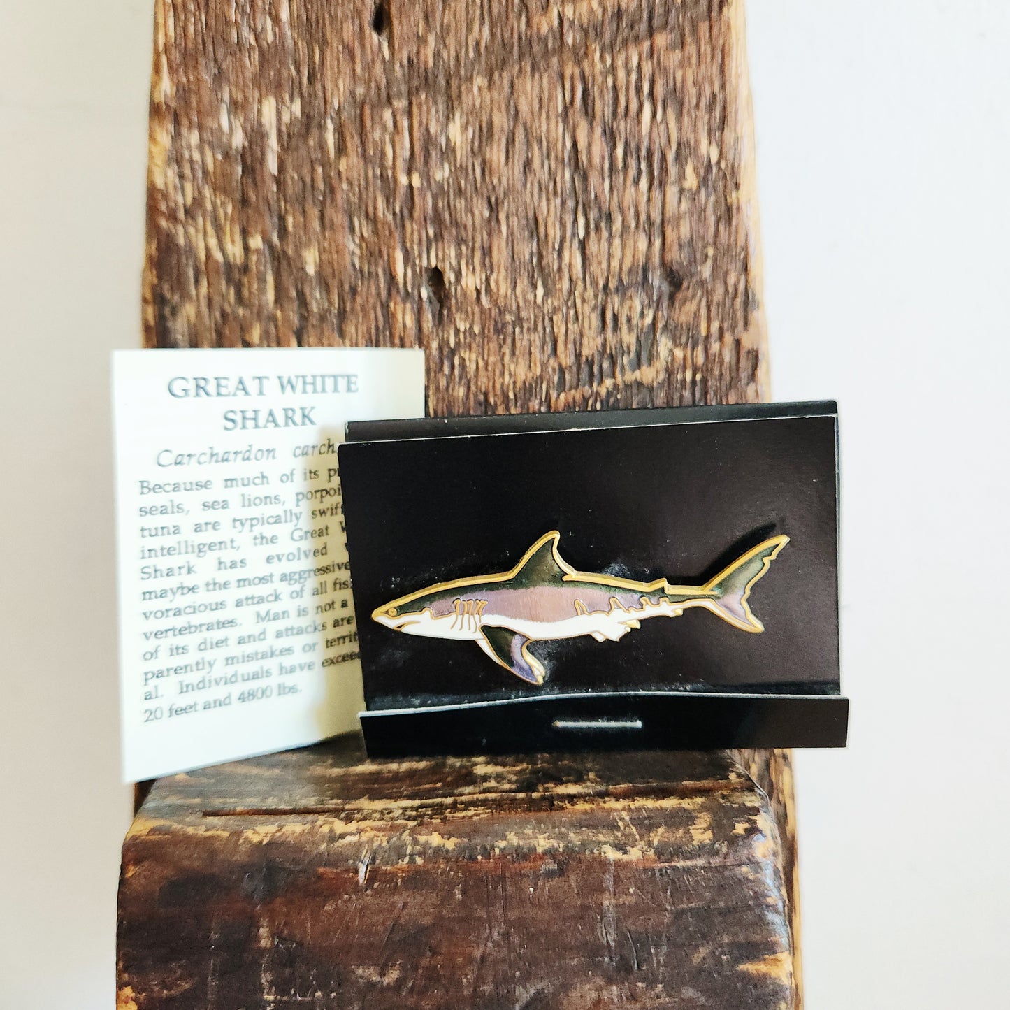Wm Spear Design Great White Shark Pin
