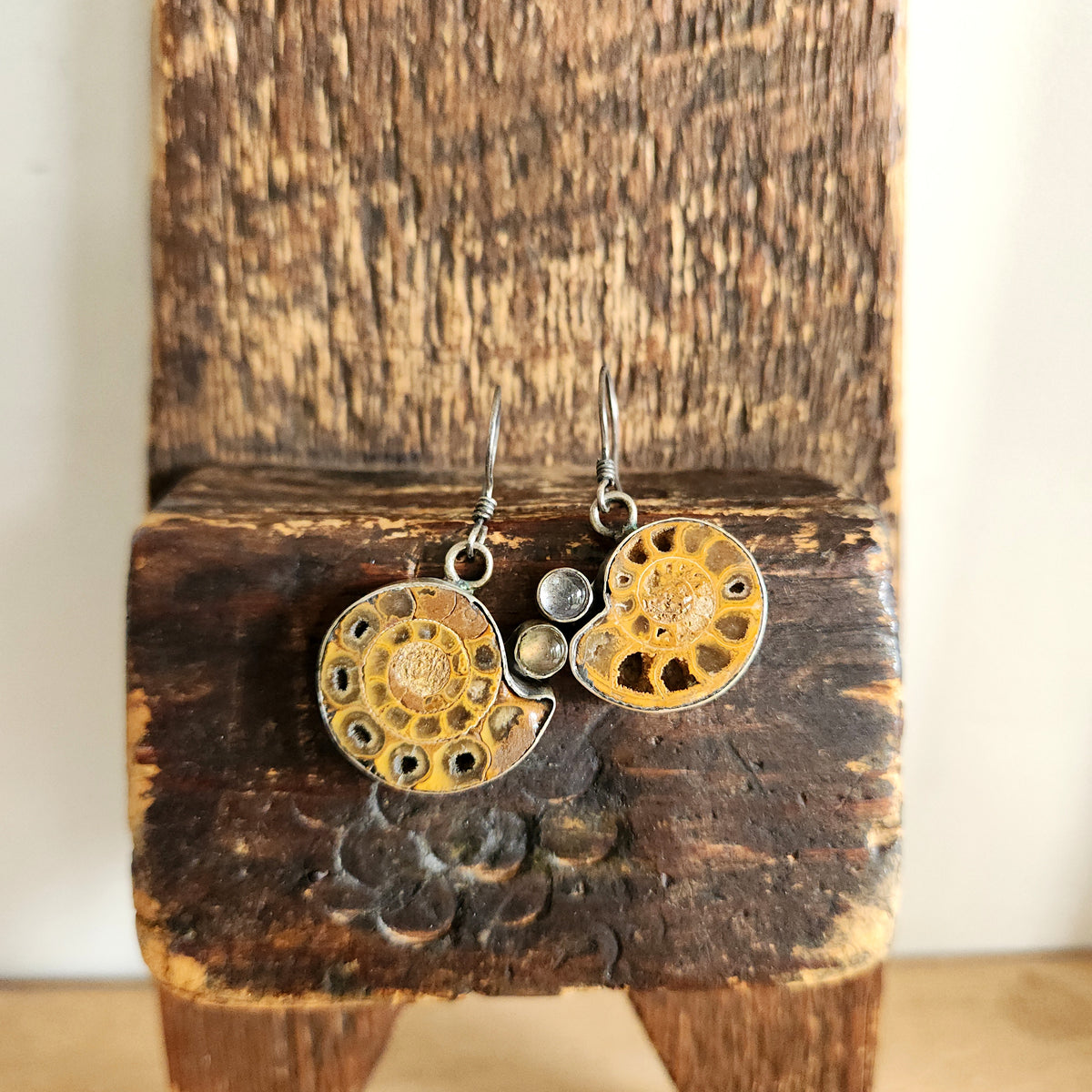 Sterling Silver Ammonite Fossil Earrings