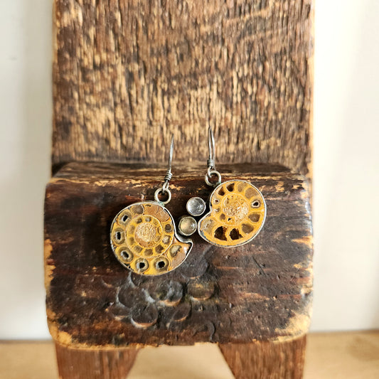 Sterling Silver Ammonite Fossil Earrings