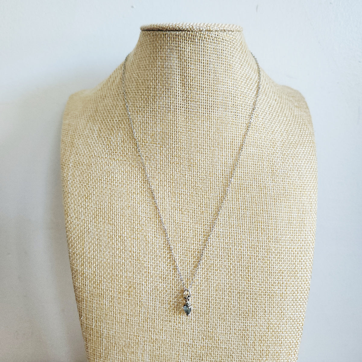 Sterling Silver Chain with 14K Gold Petite Pendant