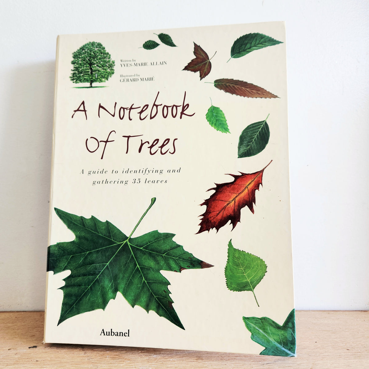 A Notebook of Trees A Guide to Identifying and Gathering 35 Leaves