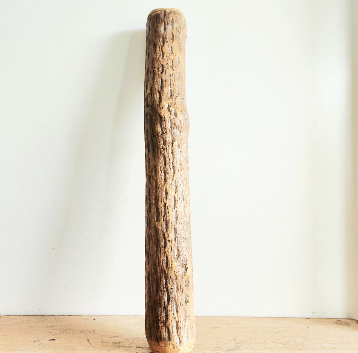 Cactus Wood Rain Stick Shaker 20"