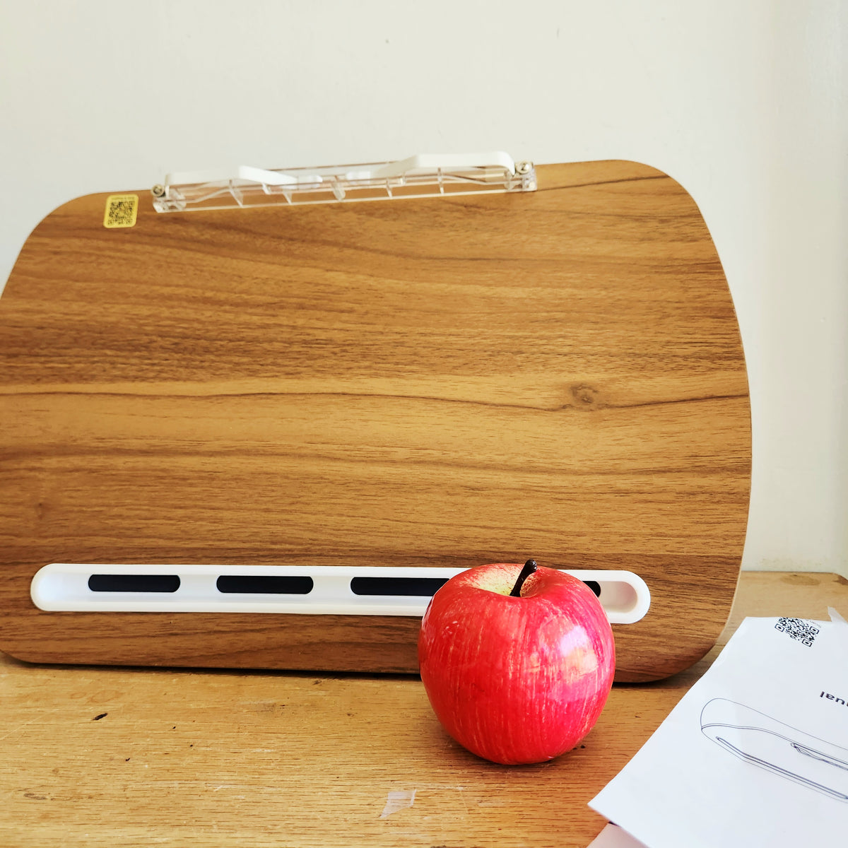 Ergonov Book Pillow Stand with Bean Bag Pillow
